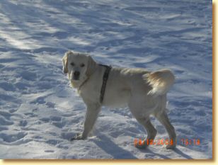 Knapp Teddy 137.JPG